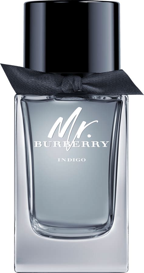 mr burberry masculino|Burberry eau de toilette.